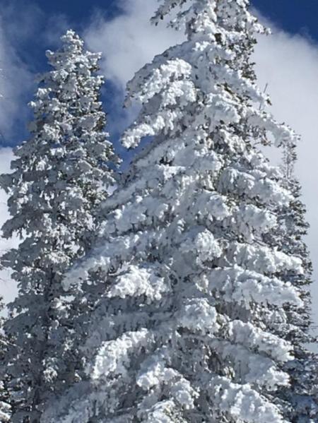 snow ghost Steamboat